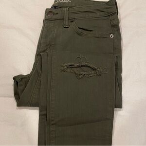 Olive Women’s Jeggings